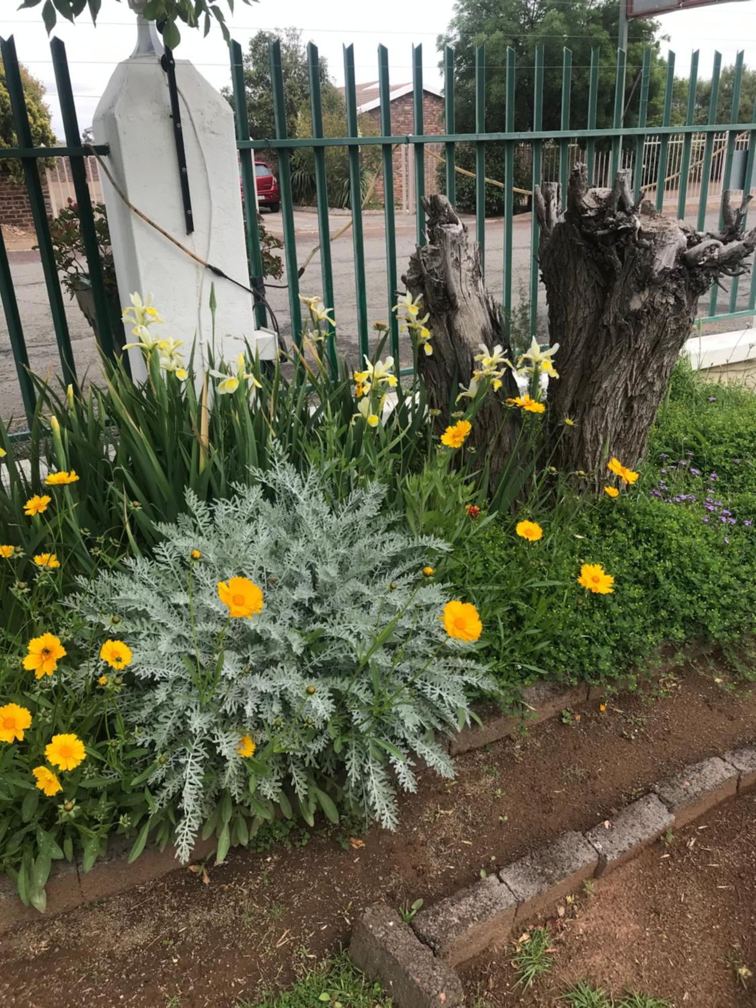 Colesview Guest House Colesberg Exterior foto