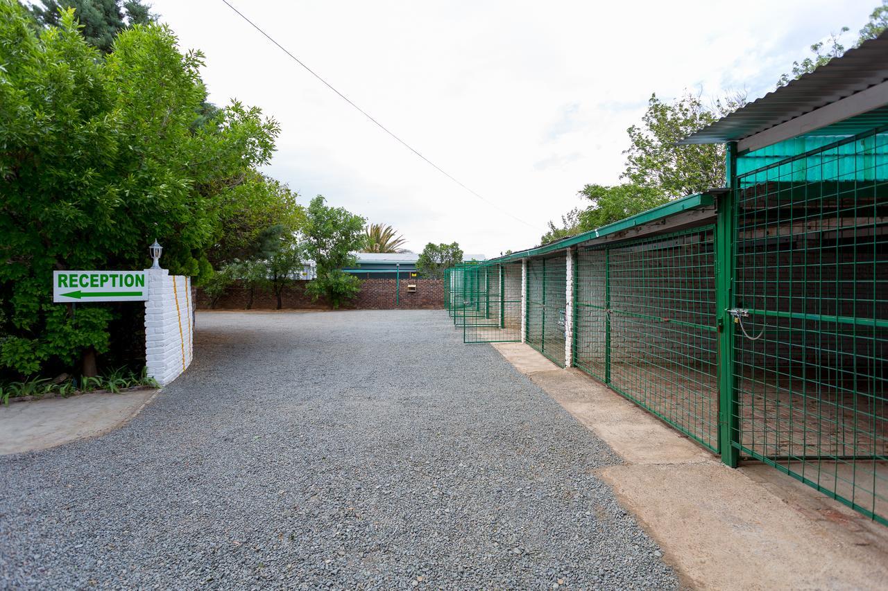 Colesview Guest House Colesberg Exterior foto